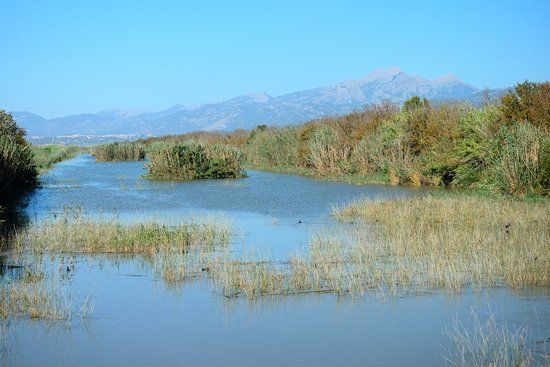 S'Albufera Wetlands